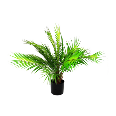 Introducing The Palace Palm - a stunning 70cm full, fronded palm tree that will add a touch of elegance to any space. Its realistic appearance, from the wrapped trunk to the exquisite foliage, will leave you feeling like you have your own mini tropical oasis. Made from premium materials, it's truly irresistible-UNIQUE INTERIORS