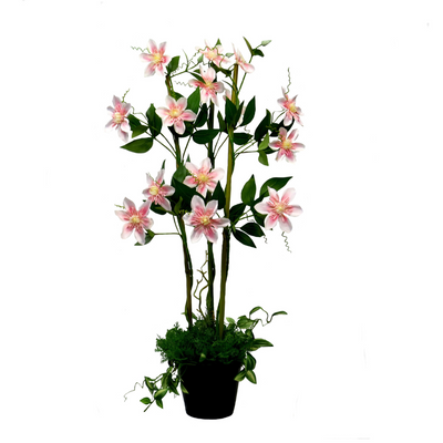 As a professional in the gardening industry, I am excited to present the Pink Clematis Perfection. With a span of 48cmw, this plant is a sight to behold at 76cmh. Its 15 flowers and 66 leaves add an elegant touch to any decor. Let this glorious pink clematis bloom on its bamboo bower, surrounded by twining ferns and stripey green leaves. Truly a lovely addition to any space-UNIQUE INTERIORS