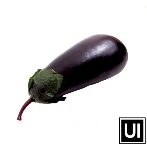 This Aubergine artificial life-like plant is a perfect solution to brighten up any room. At 13cm, it will fit anywhere, without taking up too much space. With its realistic design, it looks just like the real thing!
