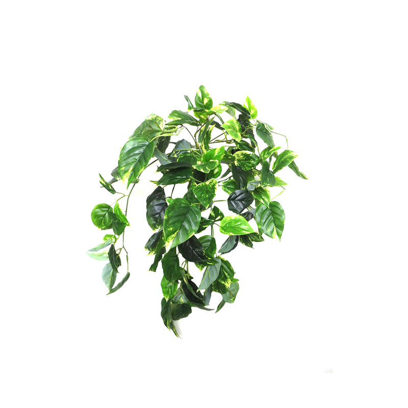 Enhance any space with the stunning Ceylon Hanging Vine. With 12 stems, off shoots, and 143 lush leaves, it creates a full and vibrant look. Its realistic appearance adds a touch of nature indoors. Perfect for hanging and cascading from a pot. Measures 87CML- UNIQUE INTERIORS