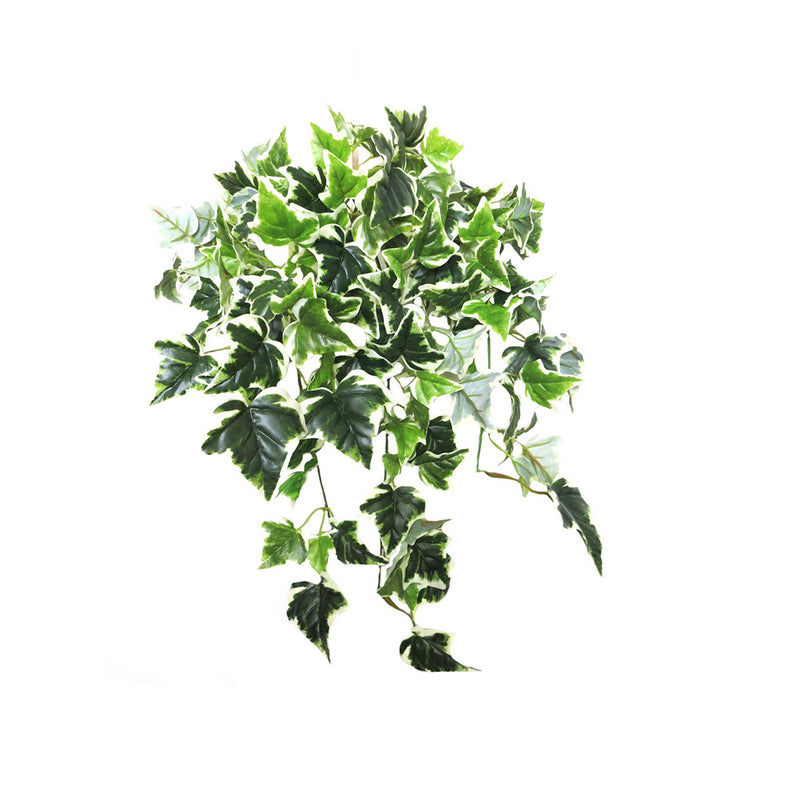 Expertly crafted to mimic the look of a freshly-cut ivy plant, Ivy Variegata is a stunning addition to any space. With 12 stems and 143 leaves, this plant is full and lifelike. Its variegated leaves add texture and visual interest, making it perfect for hanging or cascading from a pot or basket-UNIQUE INTERIORS