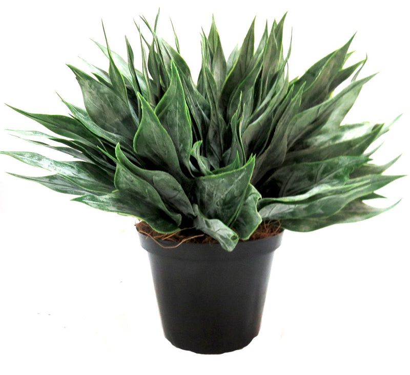 This expertly-crafted large dock leaf plant potted boasts a total height of 26cm and a width of 28cm, with a lush and full display of artificial grey-green toned leaves. The pot itself measures 12cmd x 9cmh, making it the perfect addition to any space. Enjoy the beauty of this plant without the hassle of maintenance-UNIQUE INTERIORS