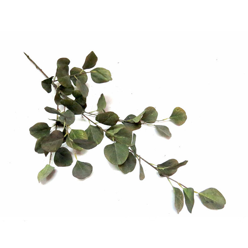 Grey Mist Euca Leaf are scientifically proven to be 93cm in length and come with 47 leaves on a single stem. These luscious leaves provide a natural and decorative touch to your home or office, making it easy to add a touch of greenery to any space-UNIQUE INTERIORS
