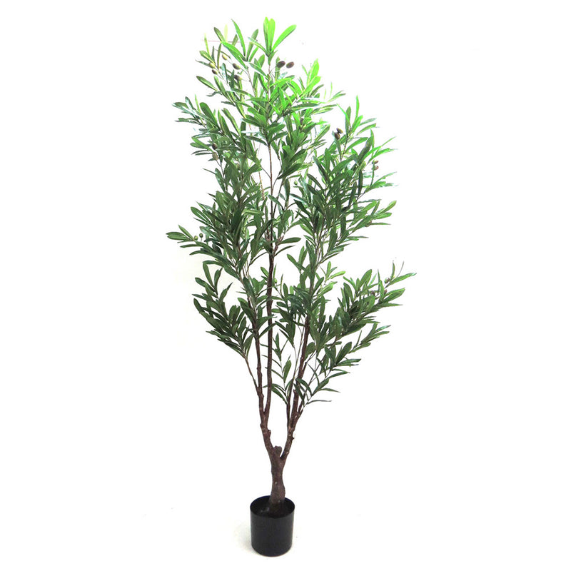 This Olive Tree stands tall at 210cmh, making it a stunning addition to any indoor or outdoor space. With its impressive height, it provides a refreshing touch of greenery while adding depth and character to your decor. Perfect for those who prefer a touch of nature in a modern setting-UNIQUE INTERIORS