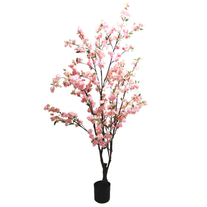Discover the natural beauty of our Blossom Tree. Standing at 165cm high, it boasts multiple stems with froths of pink shaded blossom. Perfect for weddings, celebrations, or adding a touch of elegance to your home. A highly decorative and versatile piece, guaranteed to bring joy and charm to any setting-UNIQUE INTERIORS