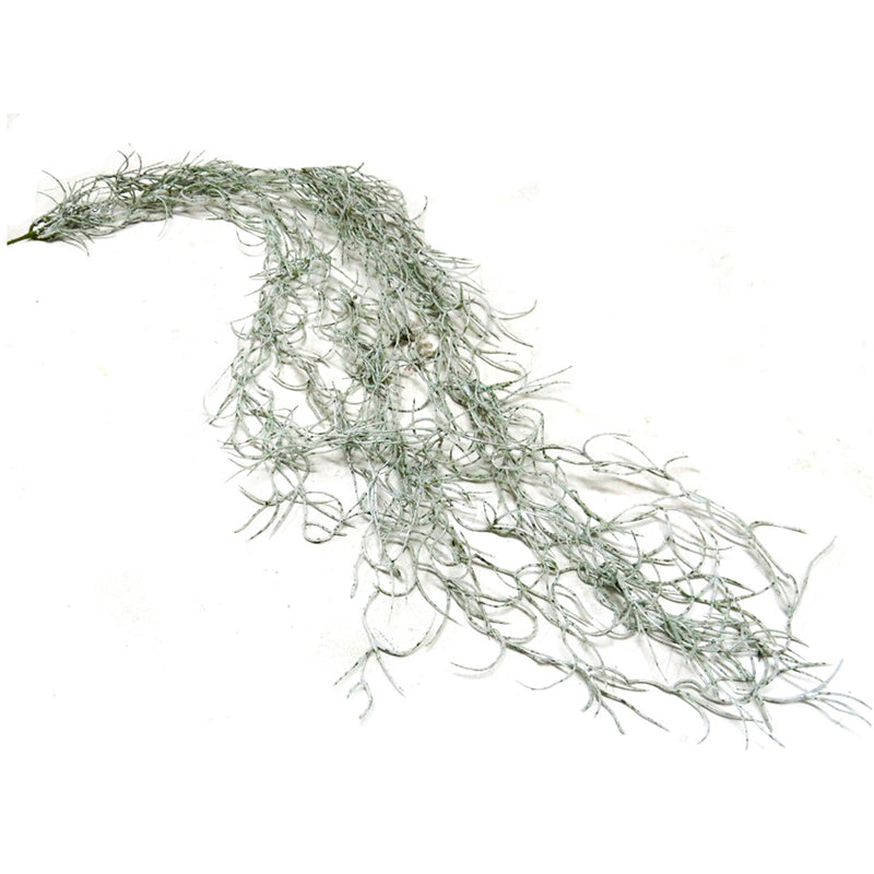 Experience the beauty of fall with our Spanish Moss. With a realistic fall of 100cml of "grandfather&