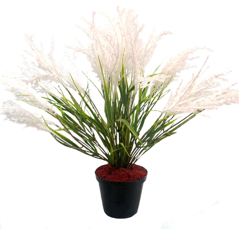 Expertly crafted, the Kapok Reed Plant stands at 49cm in height with a 55cm width. The artificial plant comes in a pot measuring 13cm in diameter and 10cm in height. Create a lifelike atmosphere with this stunning addition to your space-UNIQUE INTERIORS
