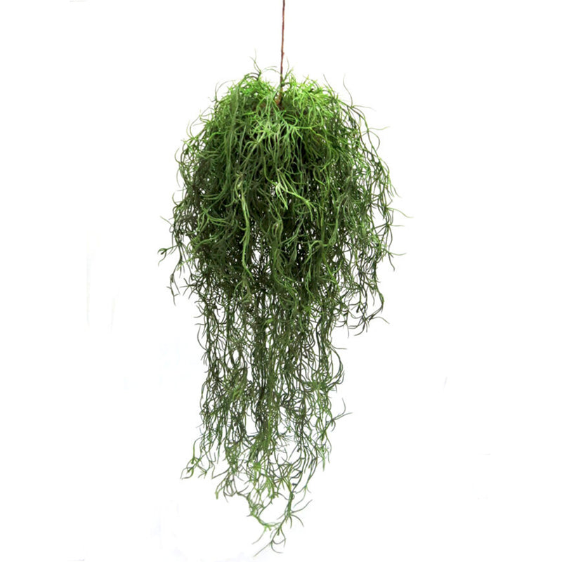 Increase your plant space with Grampas Beard Ball. The hanging plant cord measures 40cm, making for a total length of 112cm when hung. Create a greener space and bring life into your home-UNIQUE INTERIORS