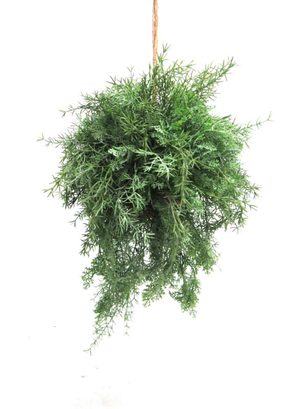 The Tangle Vine Hanging Plant features a dense, tangled mass of gorgeous greenery, creating a glorious ball of 47CML X 30CMW in size. The 45CML cord adds to its charm and allows for easy hanging, making it a stunning addition to any space. With a complete length of 92cm, enjoy the natural beauty this plant brings- UNIQUE INTERIORS