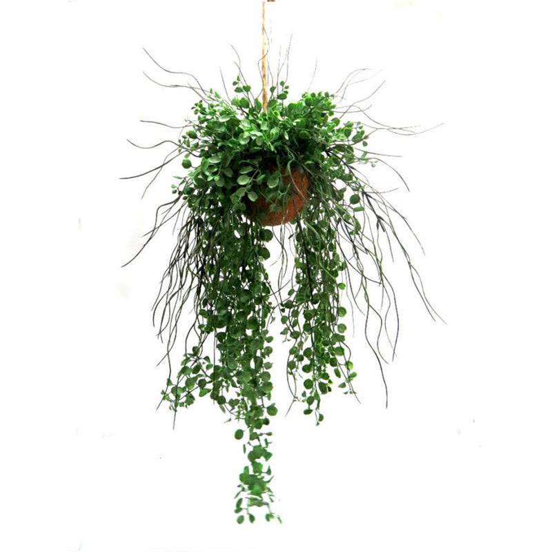 Introducing the Green Goddess Ball, a stunning botanical masterpiece! Bursting with exuberant growth, this plant features a total length of 114cm, with a 44cm cord and 40cm width at its widest part. Its mass of leaves, shoots, and aerial roots will bring beauty and life to any space- UNIQUE INTERIORS