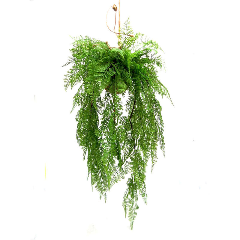 This Maiden Heaven Hanging Ball is the perfect addition to any home or office space. The real touch maiden hair fern adds a touch of beauty and elegance. With a cord length of 40cml and a total length of 112cml, this 72cml ball is sure to make a statement- UNIQUE INTERIORS