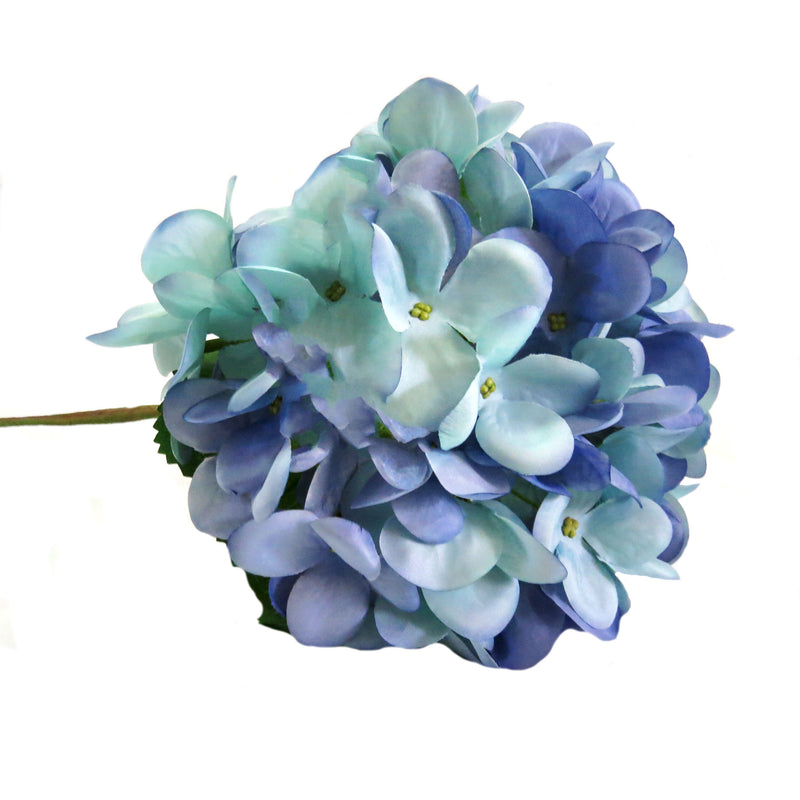 As an expert in the horticulture industry, I can confidently say that the Hydrangea Blue Heaven is a stunning addition to any garden. With a 50cm long stem and a full, well-proportioned head, it is sure to make a statement. The fabulous mix of blue tones adds to its beauty, making it a must-have for any gardening enthusiast-UNIQUE INTERIORS