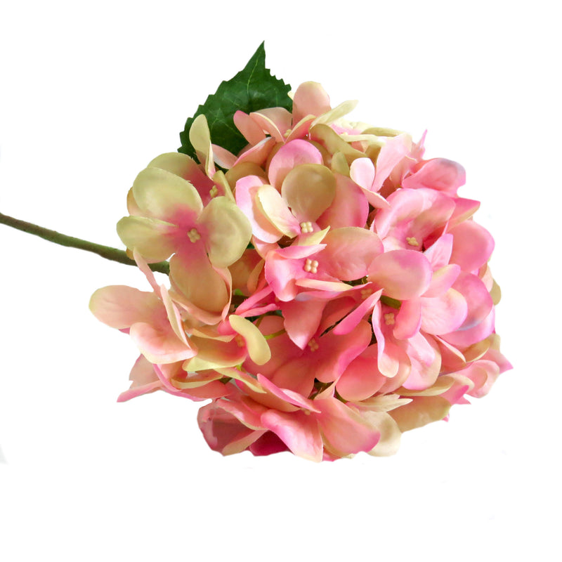 This Hydrangea Pink Puff boasts a large, well-proportioned head that showcases pink and cream shades. With a length of 50cm, it is the perfect bloom for any floral arrangement-unique interiors