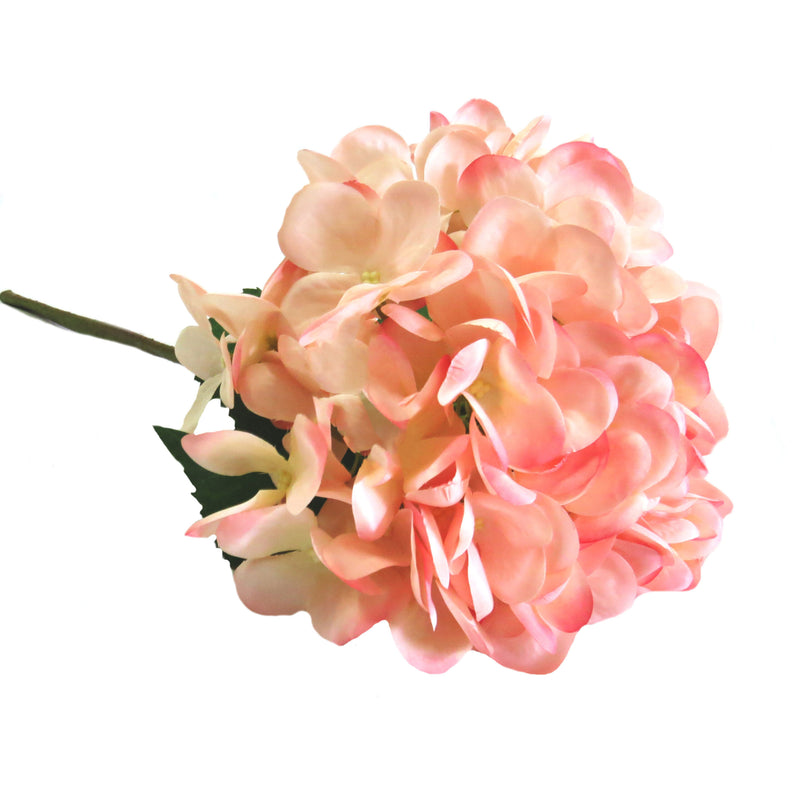 This Hydrangea Pink Trifle features multiple tones of ruffled pink and paler pink, creating a glorious and large-headed bloom. With a stem length of 50cm, this hydrangea is not only beautiful but also versatile in floral arrangements. Bring a touch of beauty and elegance to any occasion with this pretty flower-unique interiors