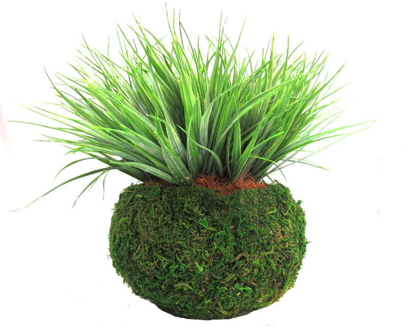 The Green Caboodle is an expertly crafted artificial plant, 30cm wide and standing at a total height of 24cm with the pot. It adds a touch of greenery to any space, without the hassle of maintenance. Perfect for those seeking a low-maintenance yet aesthetically pleasing interior decor option-UNIQUE INTERIORS