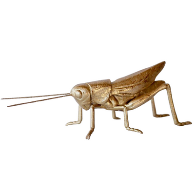 SMALL GOLD GRASSHOPPER 5X15X5CM  Add a touch of nature to your home with our SMALL GOLD GRASSHOPPER ORNAMENT. Perfect for any room, this 5X15X5CM decoration adds a touch of elegance and sophistication. Crafted with precision, our grasshopper ornament is sure to impress.   DELIVERY 5 to 7 working