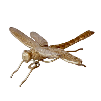 GOLD DRAGON FLY CAN STAND OR HANG 7X17X17CM Elevate your home decor with the stunning GOLD DRAGON FLY CAN STAND OR HANG ornament. Its versatile design allows for both hanging and standing display, measuring 7x17x17cm. Made with intricate detail, this ornamental piece will add a touch of elegance to any space.    DELIVERY 5 to 7 working