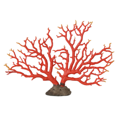 EXTRA LARGE RED CORAL ON STAND 50X74CM Expertly crafted from resin, this EXTRA LARGE RED CORAL ON STAND will make a striking addition to any space. Measuring 50X74CM, the realistic coral design showcases intricate details and vibrant color. Perfect for adding a touch of coastal charm to your decor.  DELIVERY 5 to 7 working