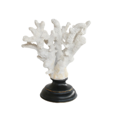 WHITE CORAL ON STAND 23X18CM Add a touch of elegance to your home decor with our White Coral on Stand. Crafted from high-quality resin, this 23x18cm ornament showcases intricate details and adds a unique texture to any space. Display in any room for a sophisticated and natural touch.    DELIVERY 5 to 7 working