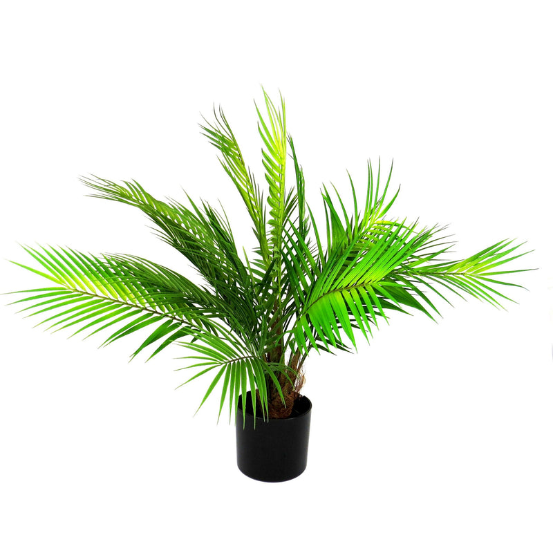Introducing The Palace Palm - a stunning 70cm full, fronded palm tree that will add a touch of elegance to any space. Its realistic appearance, from the wrapped trunk to the exquisite foliage, will leave you feeling like you have your own mini tropical oasis. Made from premium materials, it&