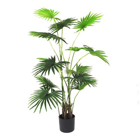 Expertly crafted at 120cm, the Fan Palm Mombasa boasts real touch fans, giving it a natural and realistic appearance. Its captivating color and form make it highly sought-after for any indoor or outdoor space-UNIQUE INTERIORS