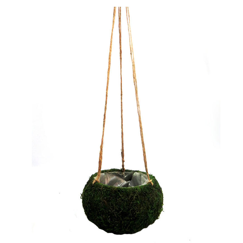 The Petitmoss Hanging Basket is a charming addition to any garden. Its firm, hardened moss construction gives it a unique and attractive appearance. Measuring 74cm in total with a cord for easy hanging, the basket is lined with plastic and has dimensions of 15cm in diameter and 12cm in height. Its sturdy design is both functional and visually appealing- UNIQUE INTERIORS
