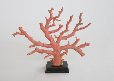 DUSTY RED CORAL ON STAND 30X35CM