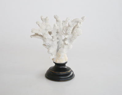 WHITE CORAL ON STAND 23X18CM