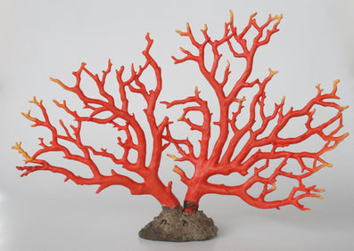 EXTRA LARGE RED CORAL ON STAND 50X74CM