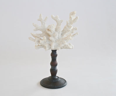 WHITE CORAL ON STAND 33X21CM
