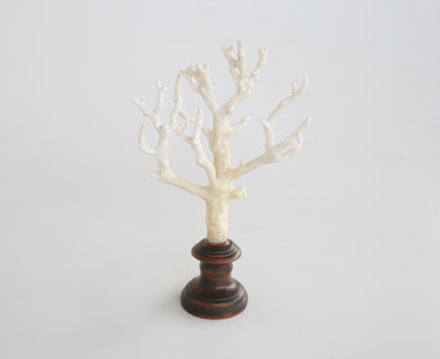 NATURAL CORAL ON STAND 36X21CM