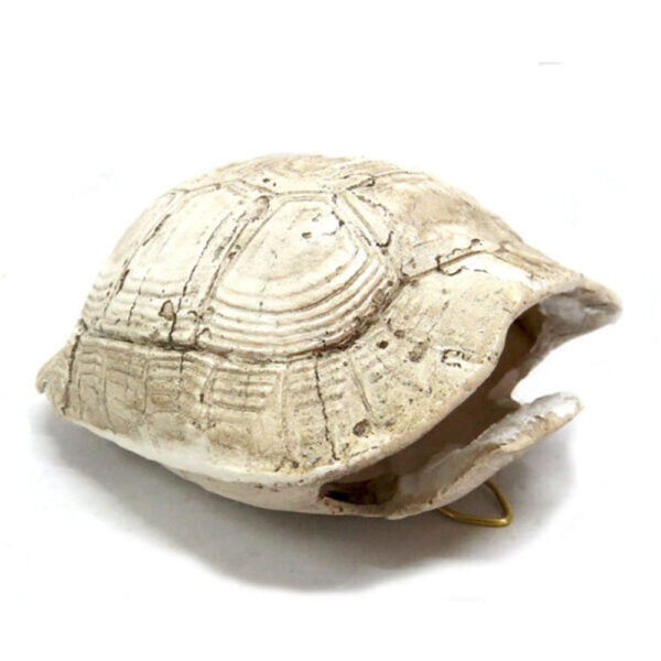 Slobro Turtle