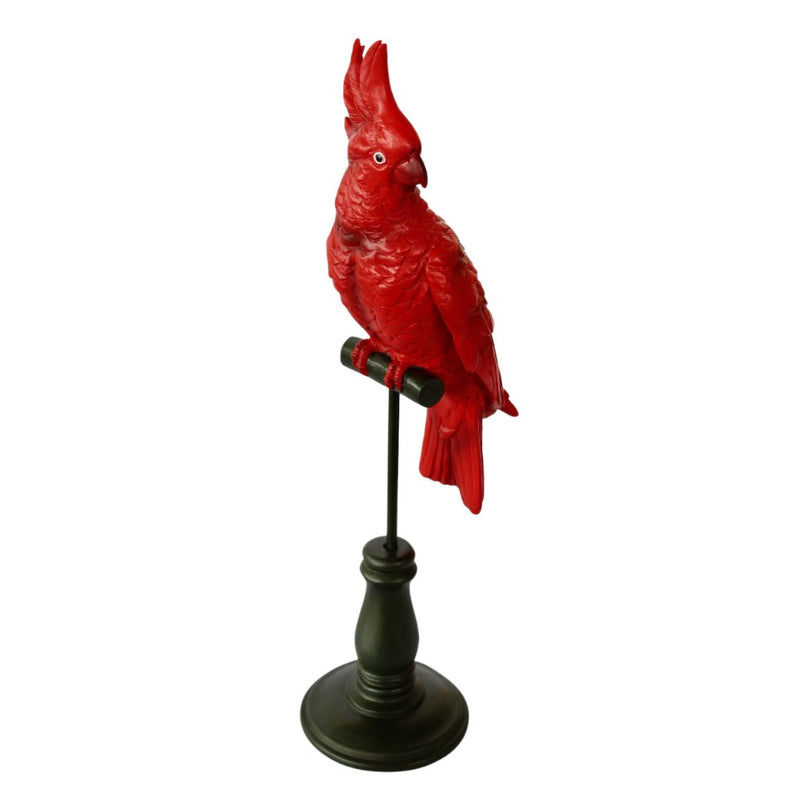 Red parrot on stand 51x12.5cm  size 51 x 12.5 cm unique interiors Feast yer eyes on this stylish feathered fella perched atop a 51x12.5cm stand! He&