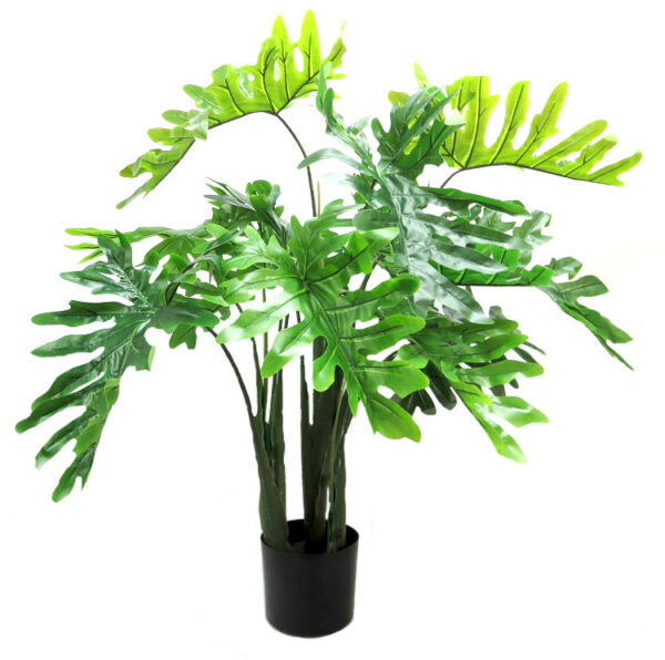 The Philodendron Potted stands at 120cm, boasting a full and vibrant presence. With 12 large leaves and a striking fresh green hue, it adds both beauty and structure to any space. Perfect for adding a touch of natural elegance to your home or office-unique interiors