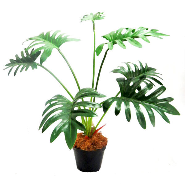 Expertly crafted and scientifically designed, the Xanadu Potted Plant stands at an impressive 68CMH. This lush plant boasts 7 real touch leaves, making it the perfect addition to any home or office space. Enjoy the benefits of a low maintenance, yet stunningly realistic plant-UNIQUE INTERIORS