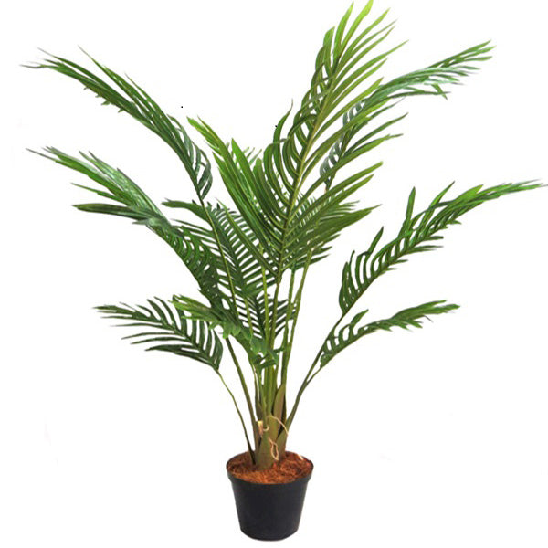 This Areca Palm reaches a height of 90cm, making it the perfect addition to any indoor or outdoor space. With its lush foliage and low maintenance, this plant not only adds a touch of green to your environment, but also helps improve air quality. A must-have for any plant lover or interior designer-UNIQUE INTERIORS