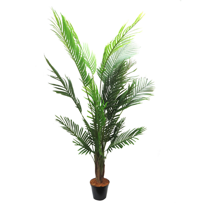 This Areca Palm reaches a height of 180cm, making it the perfect addition to any indoor or outdoor space. With its lush foliage and low maintenance, this plant not only adds a touch of green to your environment, but also helps improve air quality. A must-have for any plant lover or interior designer-UNIQUE INTERIORS