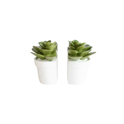 Add a touch of sophistication and style to your living space with this set of 2 luxurious succulent bookends. Thoughtfully crafted from high-quality materials with a size of 15X15cm, these bookends stand out with their timeless and chic design, bringing a refined atmosphere to your bookshelves and home decor. Delivery 5 - 7 working days