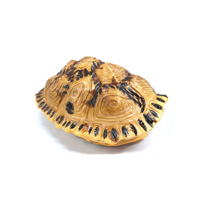 The Shyman Tortoise is a beautifully crafted decor piece, measuring 21cm x 14cm x 28cm. Its chunky, double-sided design allows for versatile display options - hang it up or use it as a table centerpiece. Each tortoise is exquisitely painted and formed, adding a touch of elegance to any room.UNIQUE INTERIORS.