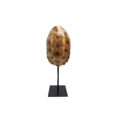 Introducing the Taco Tortoise, a stunning and versatile addition to any space. With its elegant design and compact size of 13cm x 11cm x 34cm, this double-sided tortoise on a stand will bring a touch of beauty and charm to your home or office. Unique Interiors.
