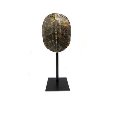 Expertly crafted with a stunning tortoise shell design, the Apollo is a beautiful addition to any home. Its double-sided design allows for both sides to be displayed, ensuring a polished look from all angles. Measuring at 16cm x 12cm x 39cm, this piece is the perfect size for any space.UNIQUE INTERIORS.