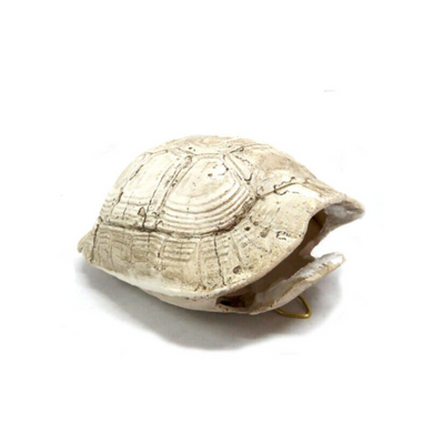 Introducing the Slobro Turtle, a versatile and stylish addition to any space. Measuring 10cm x 6cm x 13cm, this “bleached” double sided tortoise shell can be used as a hanging decoration or a unique table centerpiece. Elevate your decor with just one fabulous piece. UNIQUE INTERIORS.