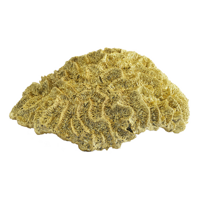 Coral Brain Large Gold offers optimum quality and impeccable craftsmanship. Its interior design is one-of-a-kind.  Unique Interiors