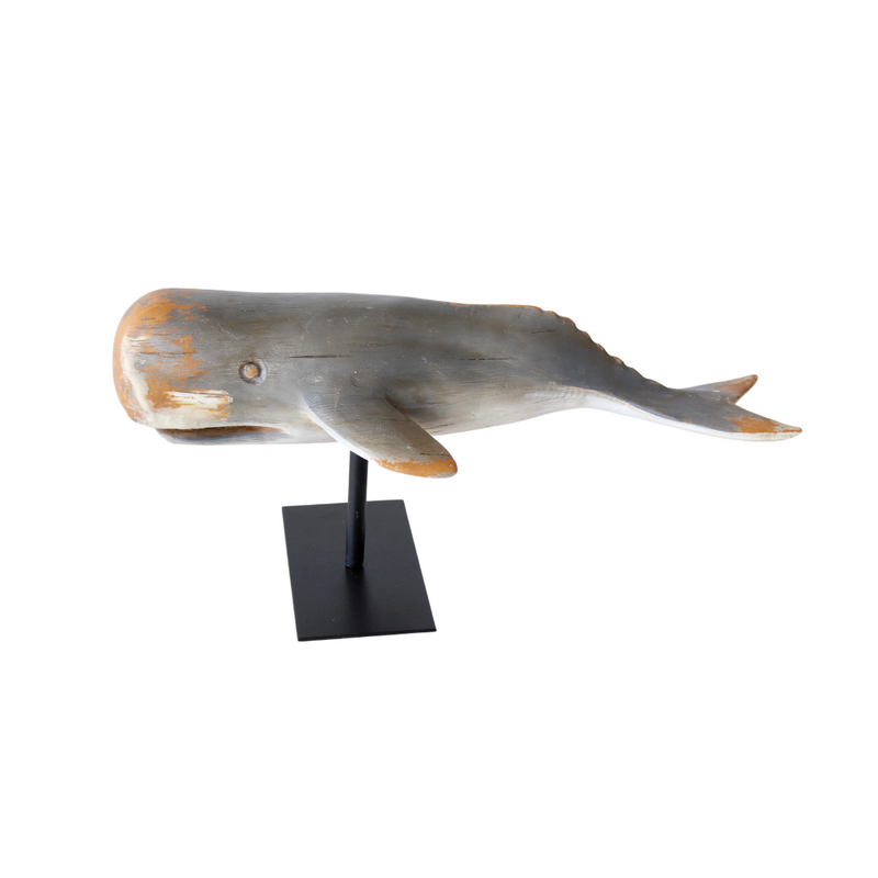 This unique medium grey whale sculpture on a 22x49cm stand is perfect for those who wish to bring the beauty of the ocean into their home. Measuring 22cm by 49cm, this piece is sure to be an eye-catching addition to any setting.  Delivery 5 - 7 working days