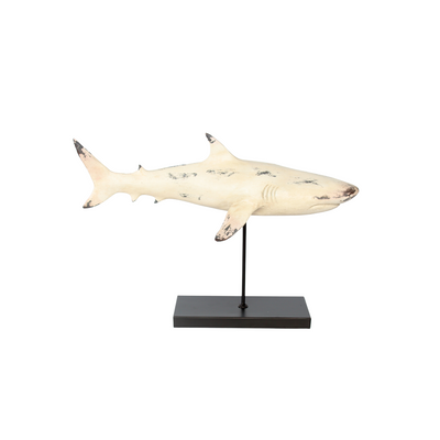 This unique white distressed shark on stand sculpture on a  39X55X20cm stand is perfect for those who wish to bring the beauty of the ocean into their home, this piece is sure to be an eye-catching addition to any setting.  Delivery 5 to 7 working days