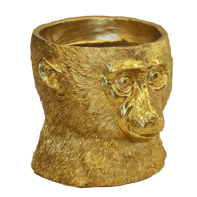 This elegant resin chimp planter in a rich golden hue is the perfect accent for your indoor plants. With its 23cm size and eye-catching design, it will bring a touch of sophisticated style to any room. Enhance your living space with this chic and unique planter.   Resin chimp planter gold  Size  23CM X 23CM  Stunning planter for your indoor plant  Unique Interiors
