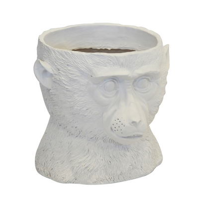 Bring unique style to your home with this Resin Chimp Planter White. Crafted with resin, this 23cm x 23cm planter is perfect for any indoor plant, adding a trendy and eye-catching statement piece to your space. It's sure to add interest and character to your interiors.  Resin chimp planter white  Size  23CM X 23CM  Stunning planter for your indoor plant  Unique Interiors