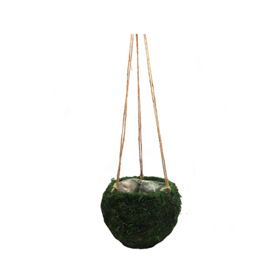 The Mosshang Hanging Basket is the perfect addition to any garden or balcony. With a total length of 81cm and a firm, strong design, this charming moss basket is both attractive and durable. Lined with plastic, it is ideal for holding plants and flowers. Bring a touch of nature to your outdoor space with this beautifully designed basket- UNIQUE INTERIORS