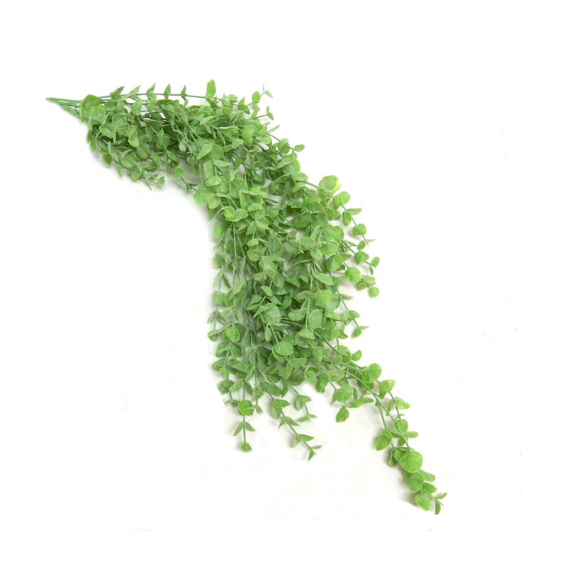 Maximize the growth of your vineyard with the Limejade Vine. With 85CML, this versatile plant offers increased yield and resistance to pests and disease. It&