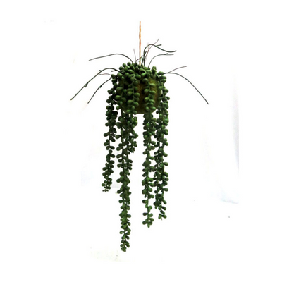 The Amazonian Growth Sphere is a well-weighted plant ball with a total length of 136cml and a cord length of 93cml. Its dense, green bead-like growth provides a unique aesthetic that adds a touch of natural beauty to any space. With a length of 43cml and width of 15cmw, this plant ball is a perfect addition to any plant collection- UNIQUE INTERIORS